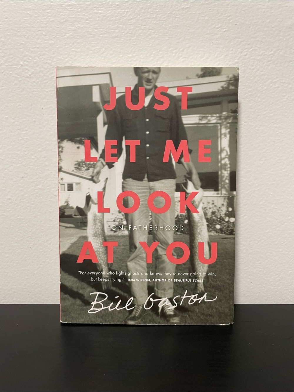 Just Let Me Look At You Book Bill Gaston NEW On Fatherhood Paperback Memoir 2018